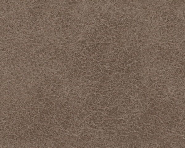 0283001e 9207 4b76 82dc Dbca239d3bc8.jpg