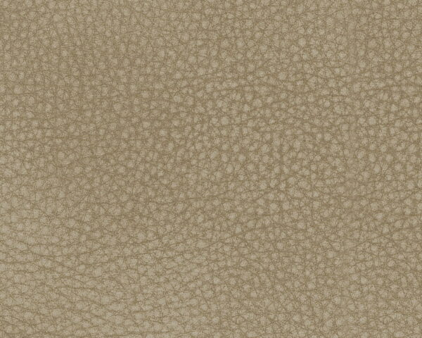 06e84bf8 3449 4204 93ca Bbf0c7e9739c.jpg