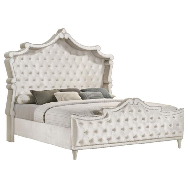 221d1baf C9db 42c4 8ec6 50ef37110ad7.jpg