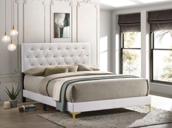 33fade4c Eb22 45d5 920e 3d44377d988e.jpg