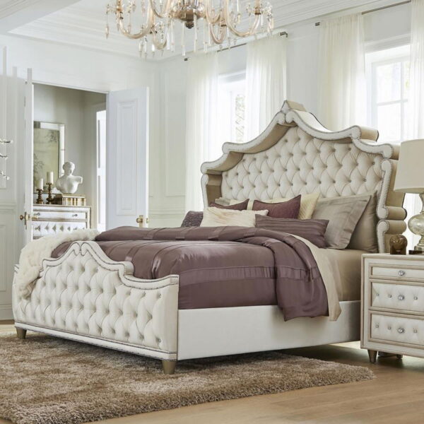 8ba70d04 Cd72 486f Bcd4 595e28968a39.jpg