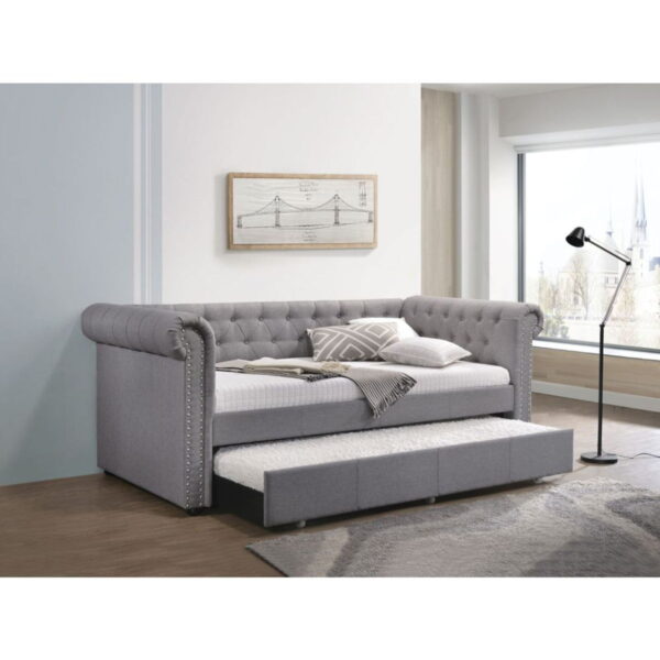 Ce63f7ed 7cee 4179 9ae4 A73c724cb959.jpg