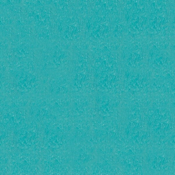 Ecbdce69 F300 49ae A519 23f1a0594f95.jpg