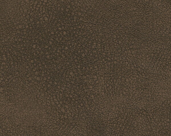 Ef1bf196 929f 4345 B16e B9e13f43320d 2.jpg